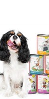 Hund Hundefutter Nassfutter Hunde-Schnupperpaket 200g 1 Set mit verschiedenen Sorten / Flocken / Testpackungen Anifit